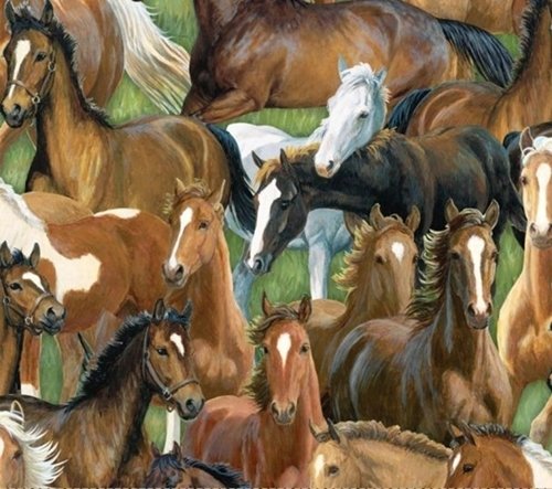 Sweetwater Bridge Packed Horse Cotton Fabric