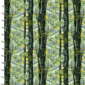 Nature Walk Sunlight in the Forest Cotton Fabric