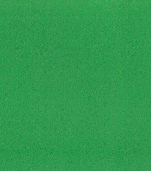 Greenbriar Blizzard Solid Fleece Fabric