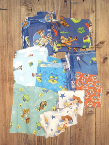 Assorted Woody and Friends Fabric - 1 lb Scrap Bundle