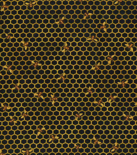 Bees On Honeycomb Black Cotton Fabric