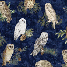 Load image into Gallery viewer, Handmade Placemat Or Table Runner Winter Haven Owls Blue
