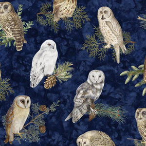 Winter Haven Owls Blue Cotton Fabric