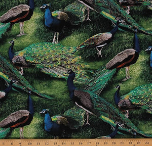 Pagent of Color Peacock Cotton Fabric