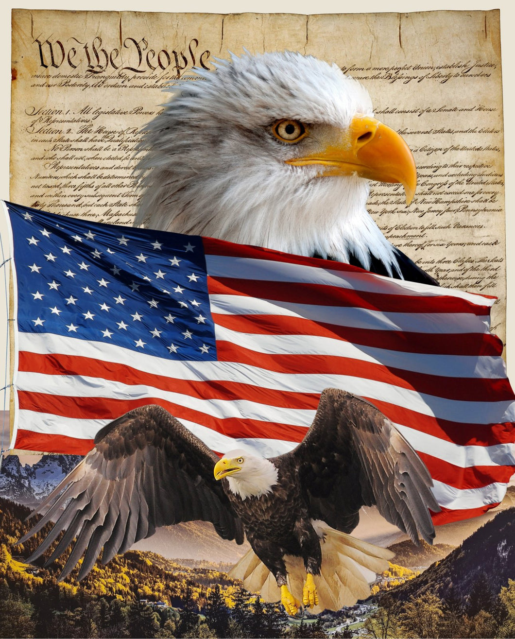 Eagle & Constitution 35.5