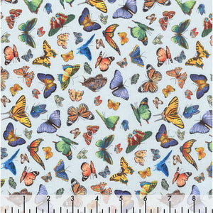 Delicate Creation Butterflies Blue Cotton Fabric