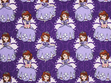 Load image into Gallery viewer, Handmade Blanket, Burp Rag/ Security Blanket, and Bib Sofia the First Sofia Poses
