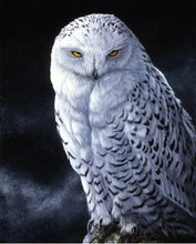 Load image into Gallery viewer, Handmade Tapestry &quot;Snowy Owl”
