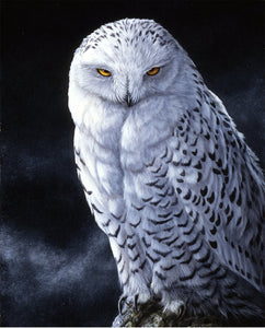 Snowy Owl Panel (35.5" x 45") Panel Fabric