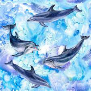 Flipper Dolphins Cotton Fabric