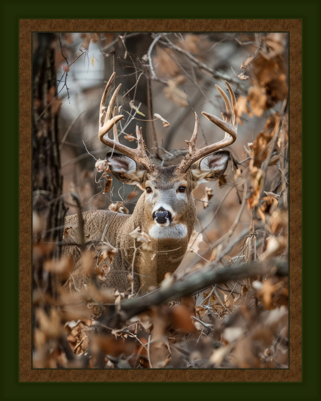 Hidden Buck Panel Cotton Fabric