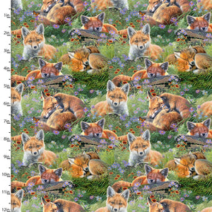 Mountain Sunrise Sleepy Foxes Cotton Fabric