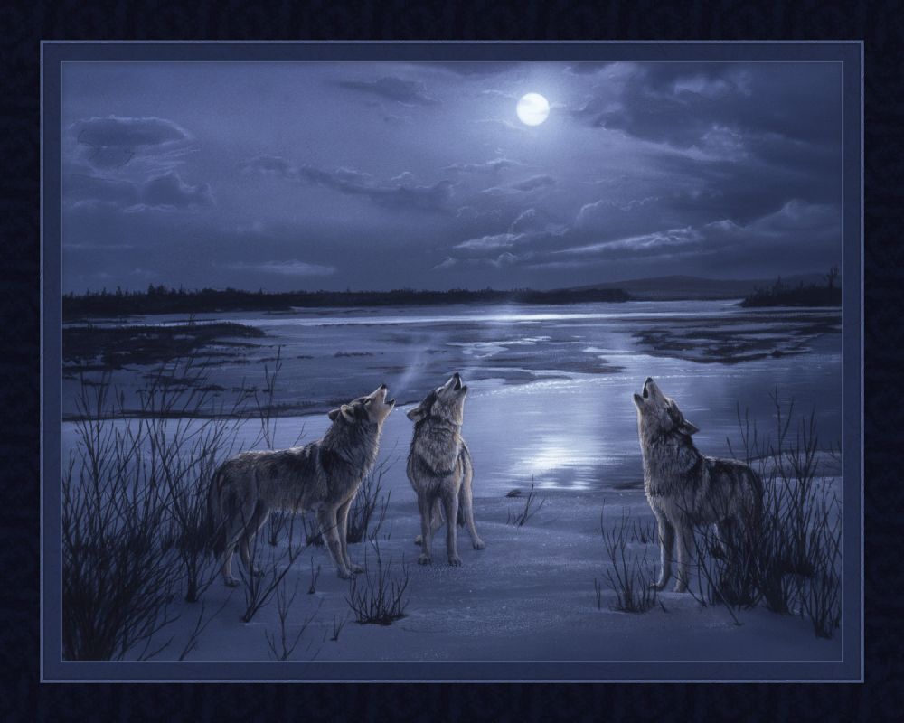 Moonsong Study Wolf Panel Cotton Fabric