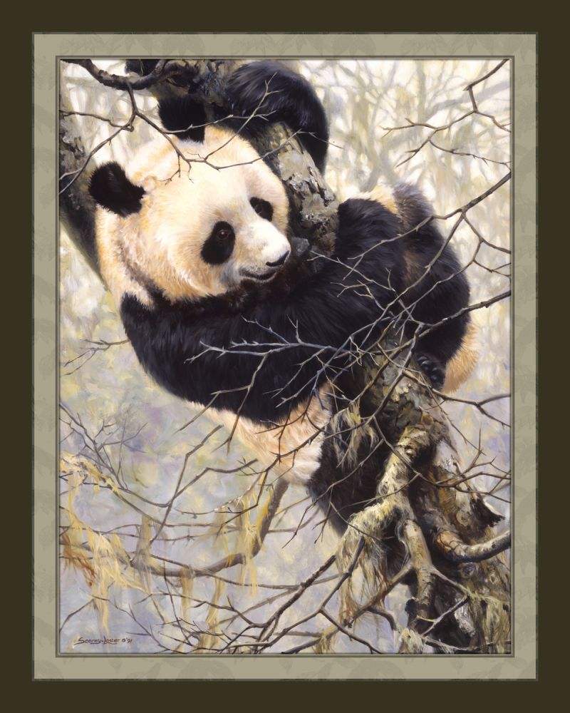 Panda Trilogy In Tree 45