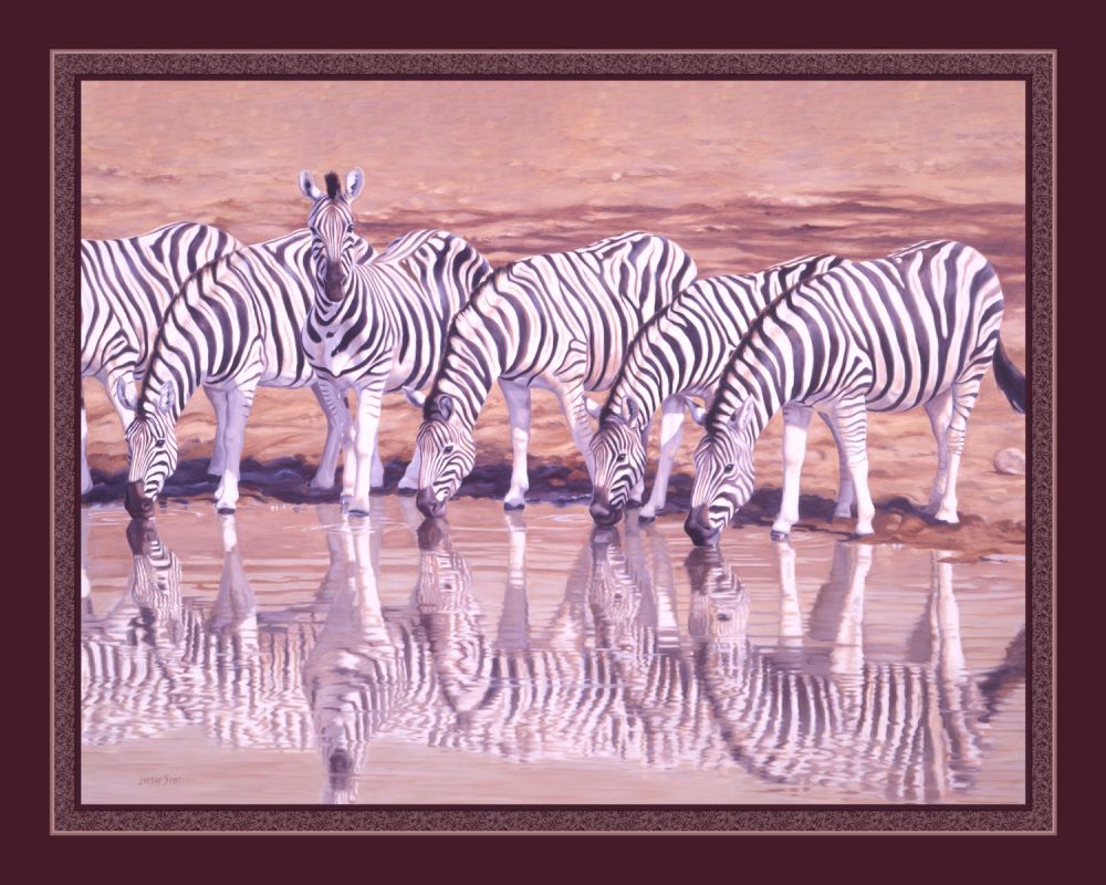 Zebras Drinking 45