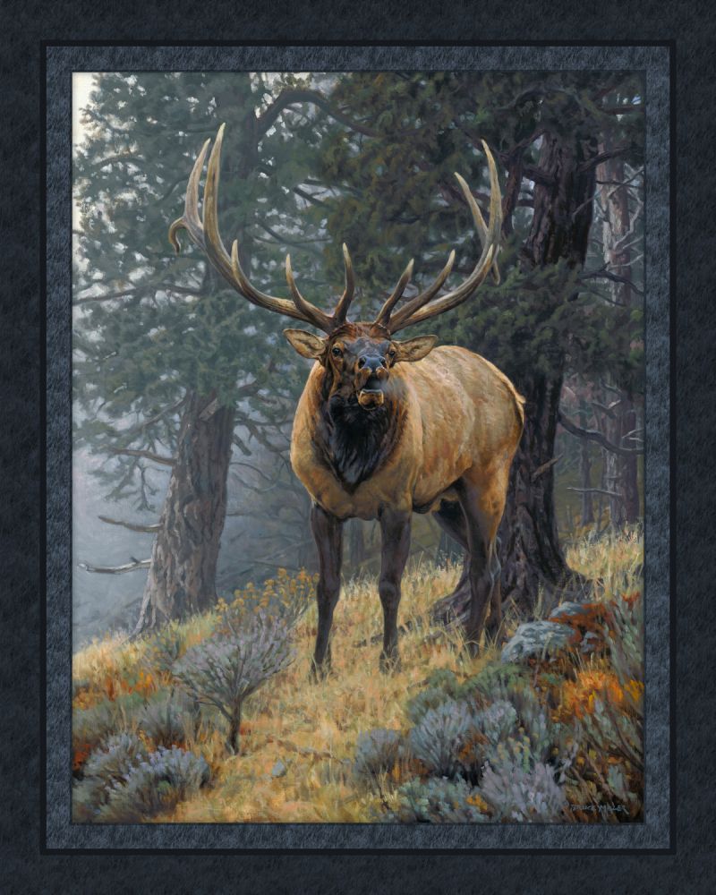 Foggy Mountain Challenge Cotton Panel