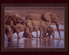 Load image into Gallery viewer, Handmade Tapestry &quot;Riverbank Procession Elephants”
