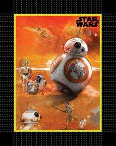 Star Wars VII Bb8 No Sew Blanket