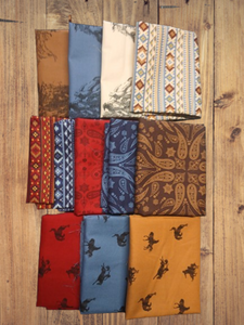 12 Fat Quarters - Assorted Back of the Chutes Fat Quarter Bundle