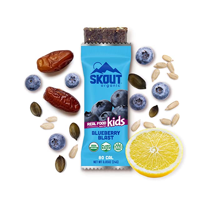 Skout Organic Blueberry Blast Real Food Bars for Kids (6 Pack) | Organic Snacks for Kids | Plant-Based Nutrition, No Refined Sugar | Vegan & Paleo | Gluten, Dairy, Grain, Peanut, Tree Nut & Soy Free