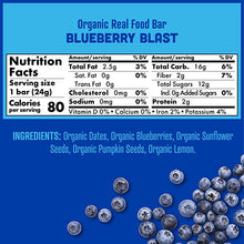 Load image into Gallery viewer, Skout Organic Blueberry Blast Real Food Bars for Kids (6 Pack) | Organic Snacks for Kids | Plant-Based Nutrition, No Refined Sugar | Vegan &amp; Paleo | Gluten, Dairy, Grain, Peanut, Tree Nut &amp; Soy Free
