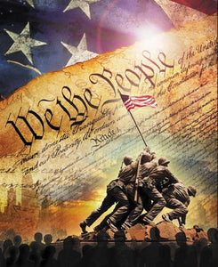 USA Constitution We the People Cotton Panel Fabric