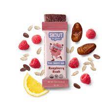 Skout Organic Raspberry Rush Real Food Bars for Kids (6 Pack) | Organic Snacks for Kids | Plant-Based Nutrition, | Vegan | Gluten, Dairy, Grain & Soy Free