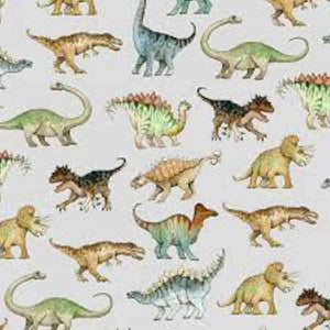 Dinosaurs Flannel Fabric