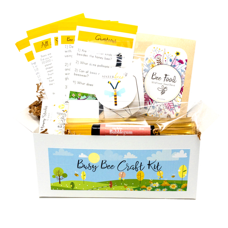 Busy Bee Kidz Kit Gift Set by Sister Bees