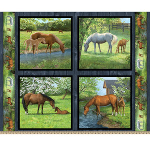 Horse Sweetwater Bridge Pillow Panel Fabric