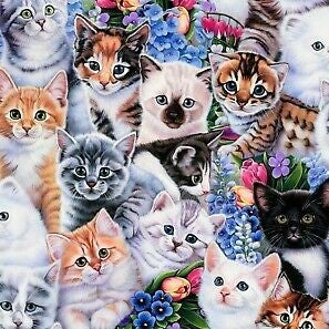 Kittens Flowers Cotton Fabric